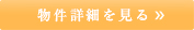 詳細を見る